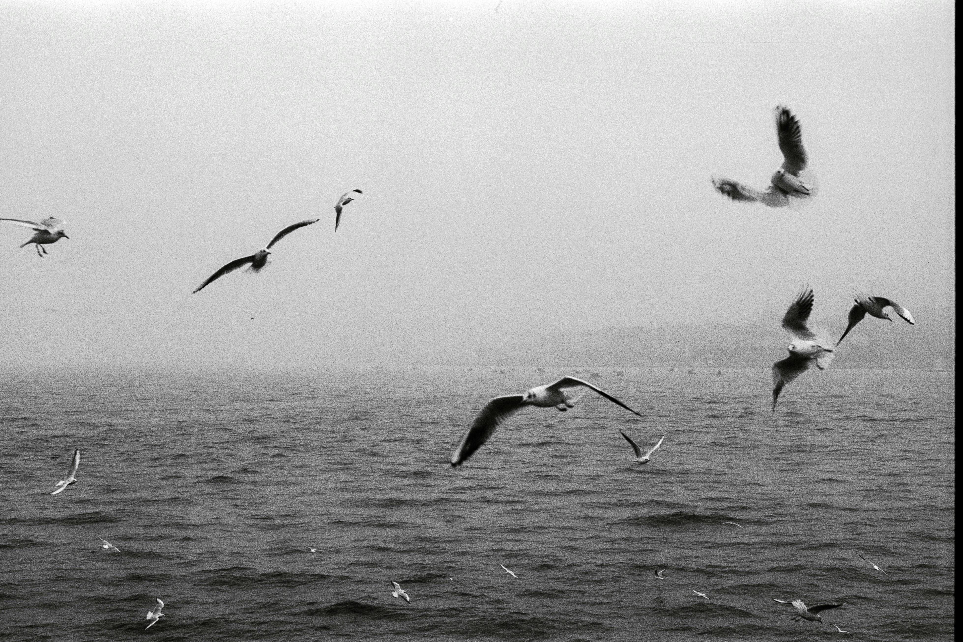 İçerik