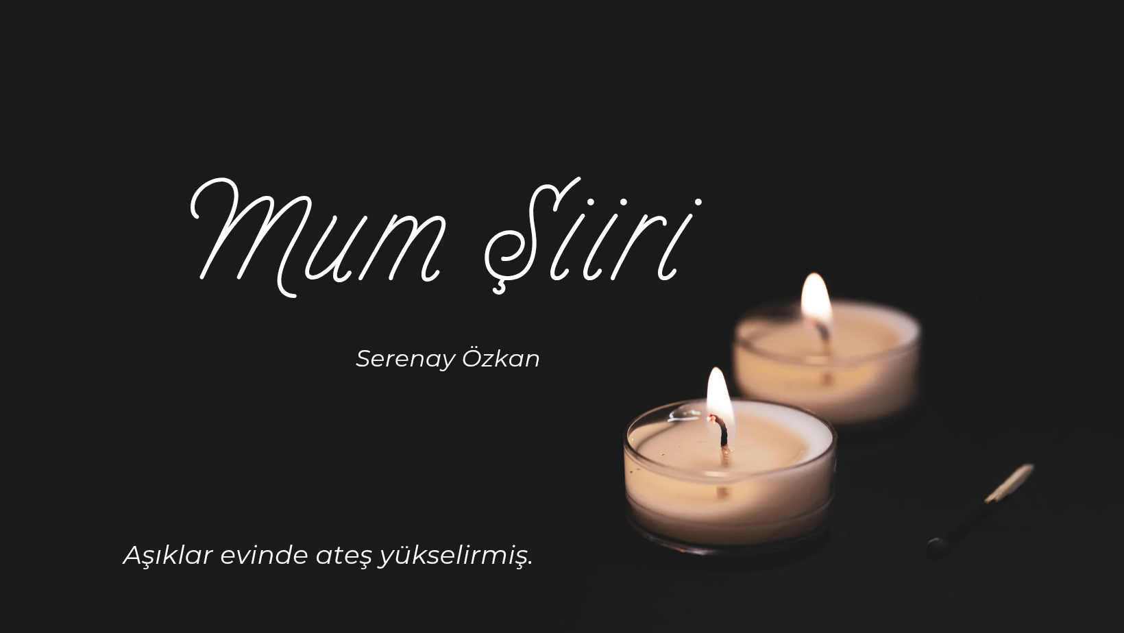 İçerik