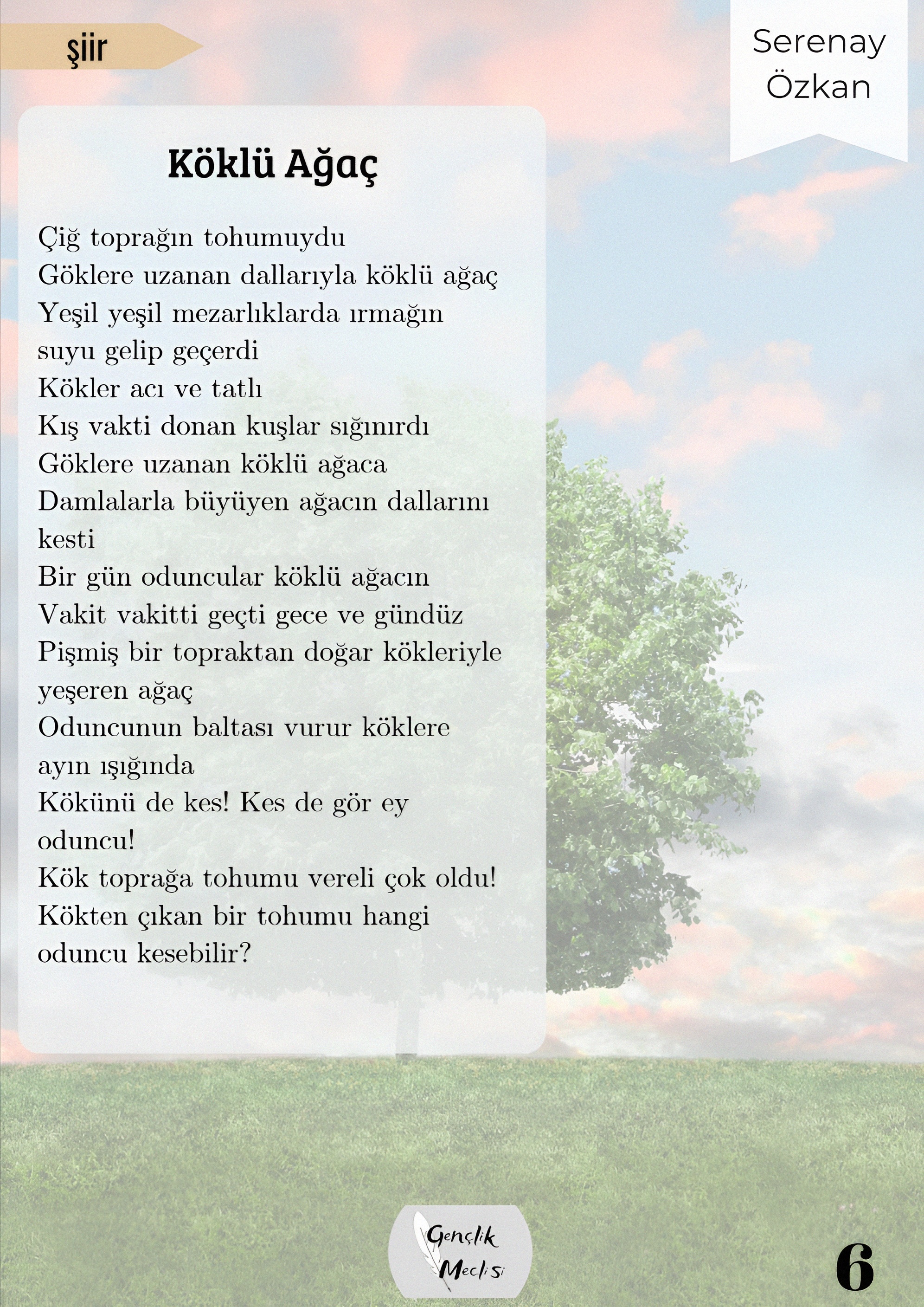 İçerik